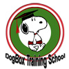 Dog Box Training School