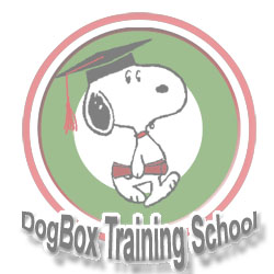 DogBox Training School