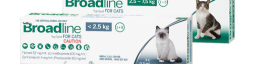 Broadline - the mixed parasite top spot for cats