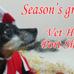 Season’s greetings from Vet Hospital Port Shepstone